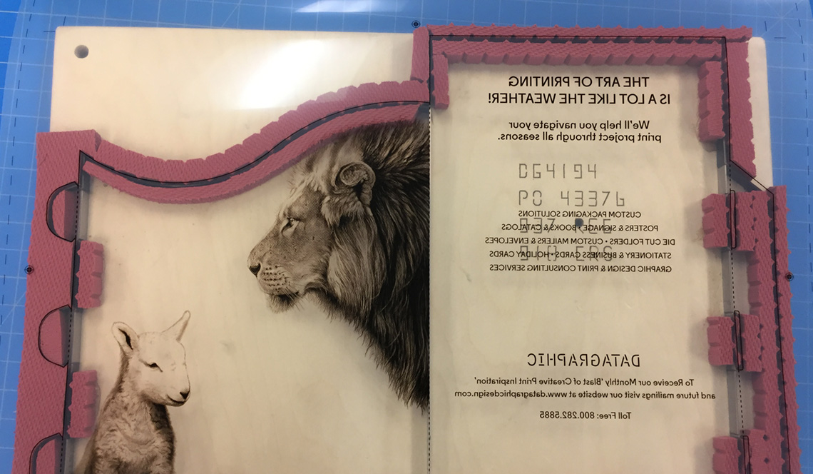 DataGraphic Lion and Lamb Direct Mailer